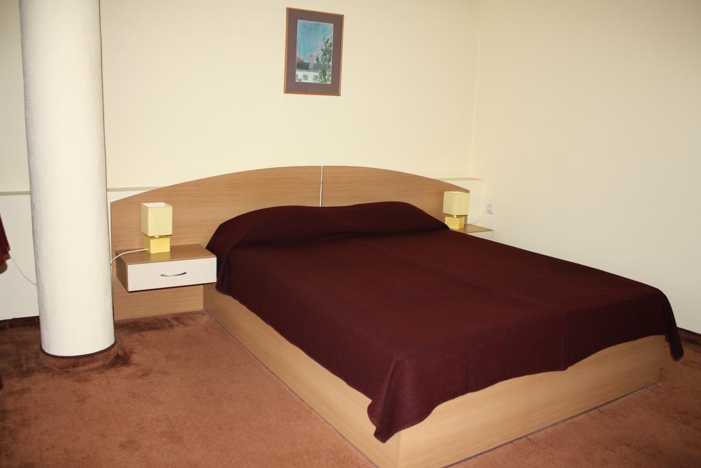 Hotel Of Bulgarian Academy Of Sciences Sofia Room photo